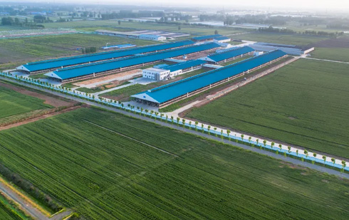 山东得益第三牧场